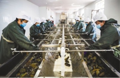 大連市 做強優勢農業產業，筑牢鄉村振興之基